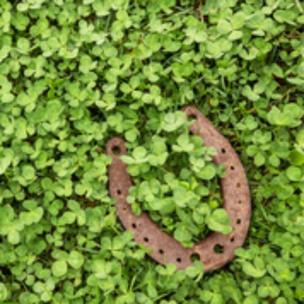 Feelin' Lucky? Make an Offer! I Might Accept!